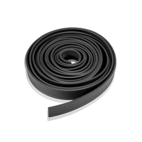 Caoutchouc noir Wagtail pour raclette vitres professionnelle