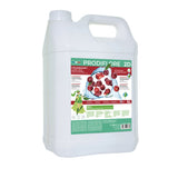 Lavant sols professionnel PRODIFLORE Cranberry bidon 5 litres.